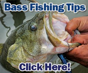 Bass Fishing Tips and Techniques