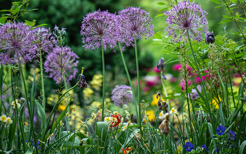 Make Sure Your Vegetable Garden Has Good Drainage