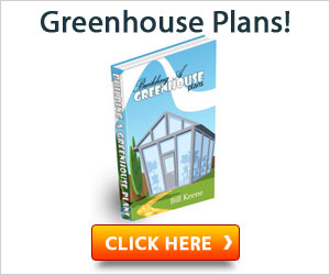 Greenhouse Plans